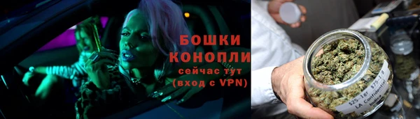 метадон Вяземский