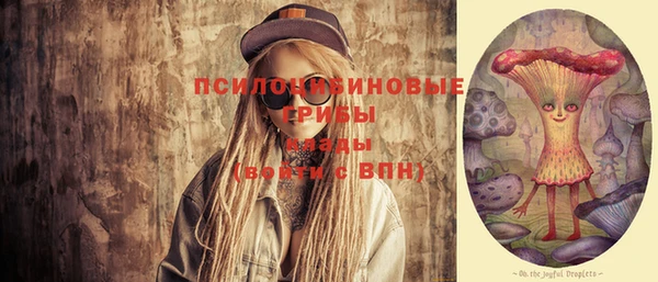 метадон Вяземский