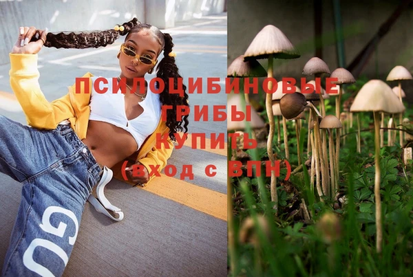 первитин Вязьма