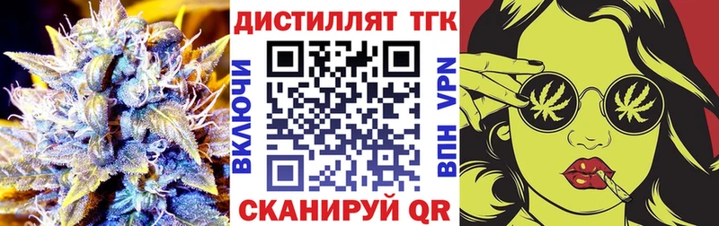 Купить  Терек  ТГК концентрат 